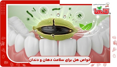 خواص جویدن یا گذاشتن هل زیر زبان برای دهان و دندان چیست؟